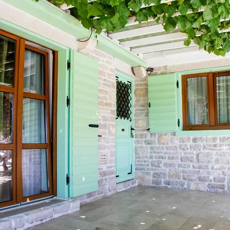 Authentic Dalmatian Treasure Homes