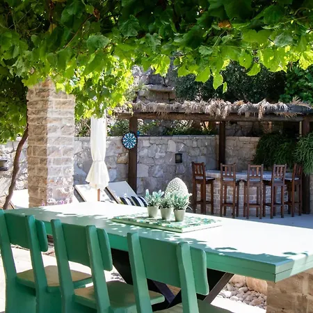 Authentic Dalmatian Treasure Homes