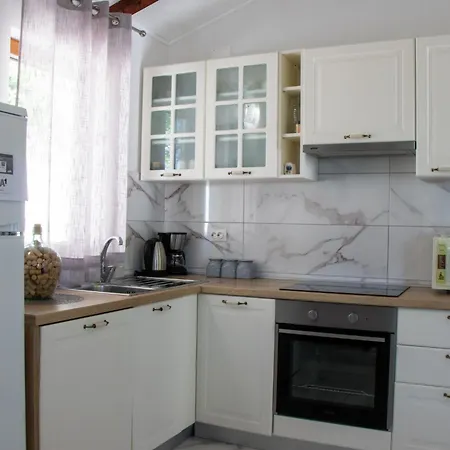 Authentic Dalmatian Treasure Homes