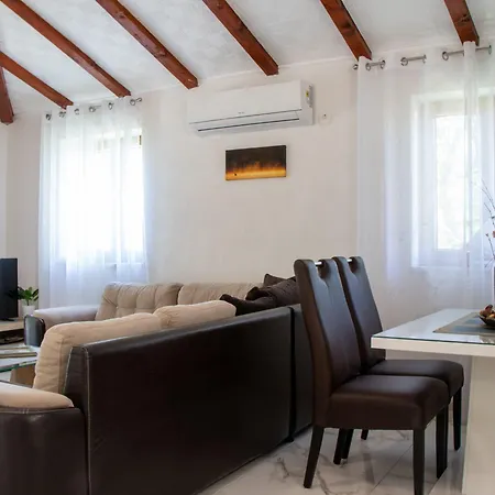 Authentic Dalmatian Treasure Homes