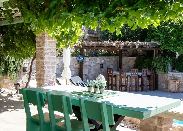 Authentic Dalmatian Treasure Homes