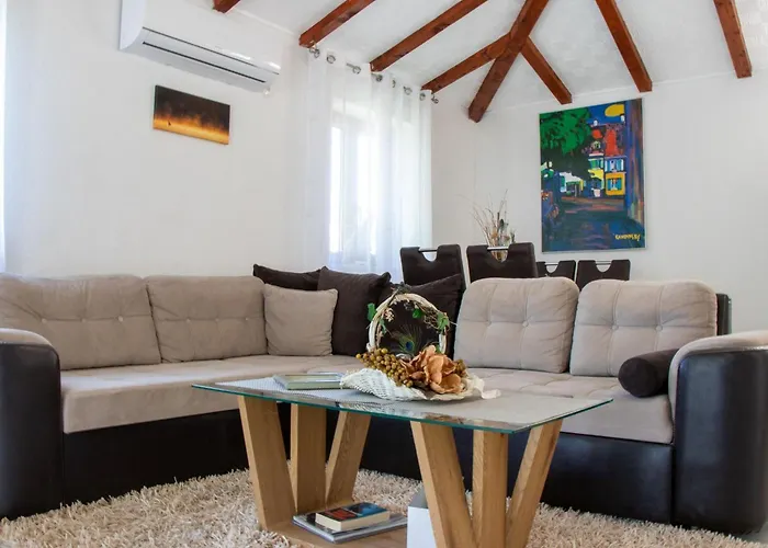 Authentic Dalmatian Treasure Homes *