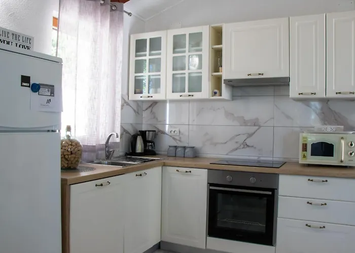 Authentic Dalmatian Treasure Homes